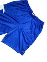 Load image into Gallery viewer, Retro Champion Athletic Mesh Gym Basketball Shorts Blue Big Logo Drawstring Sz L